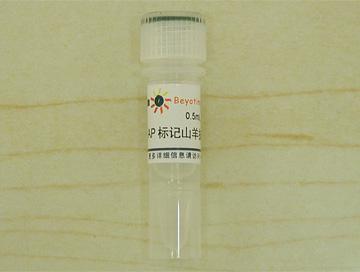 碱性磷酸酯酶标记山羊抗兔IgG(H+L)